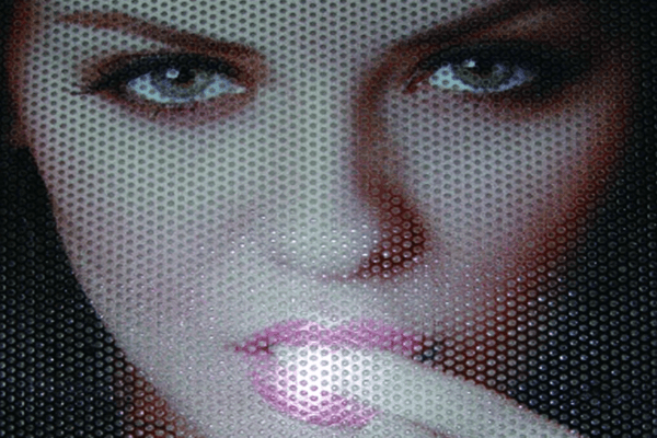 152CM x p/M One Way Vision Privacy Zwart