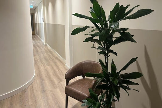 Solidly Colored - Earth Grey - Interieurfolie - 104E