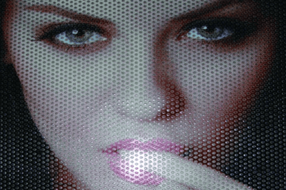 152CM x p/M One Way Vision Privacy Zwart