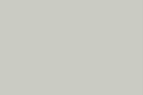 Solidly Colored - Sage Grey - Interieurfolie - 107E - COLLETTI.nl