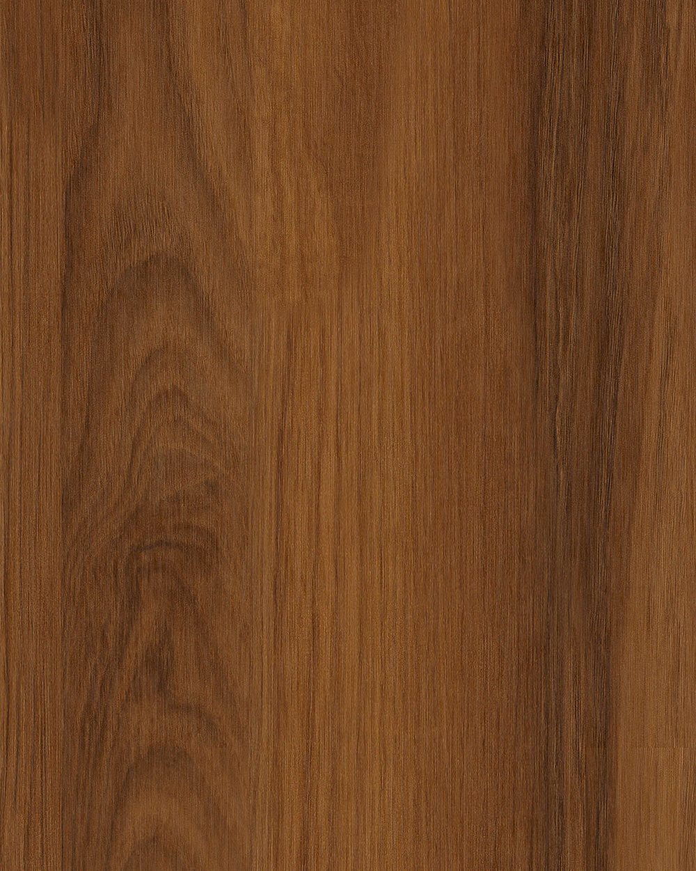 Arbory Passion - Simply Nuts - Interieurfolie pvc-vrij - 555H